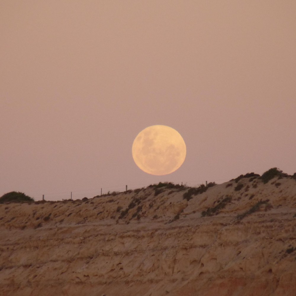 My favourite moon shot!